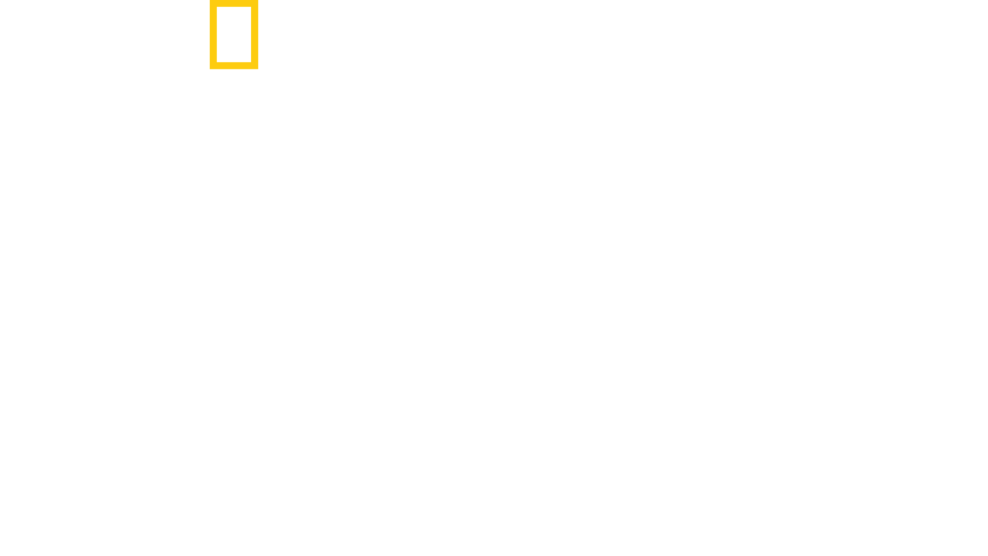 Wild Life National Geographic Channel